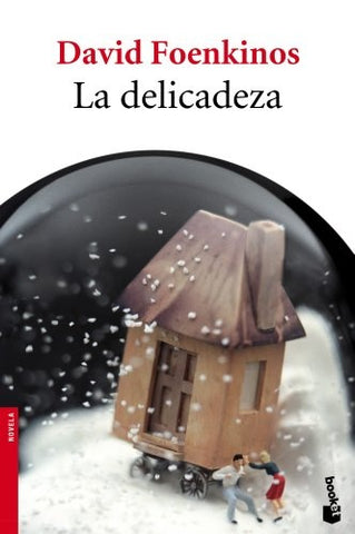 La delicadeza* | David Foenkinos