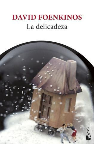 LA DELICADEZA.. | David Foenkinos
