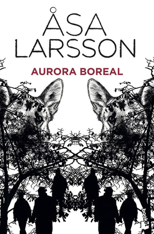 Aurora boreal | Asa Larsson