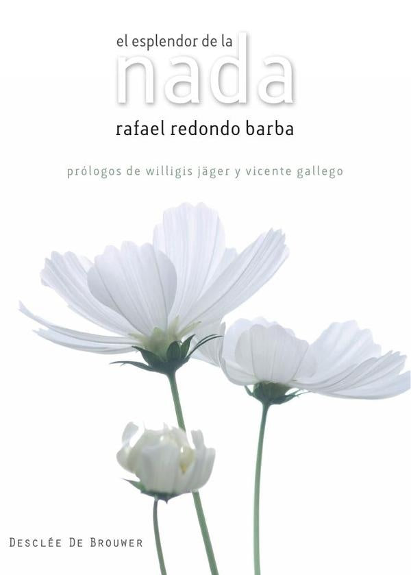 El esplendor de la nada | Rafael Redondo Barba
