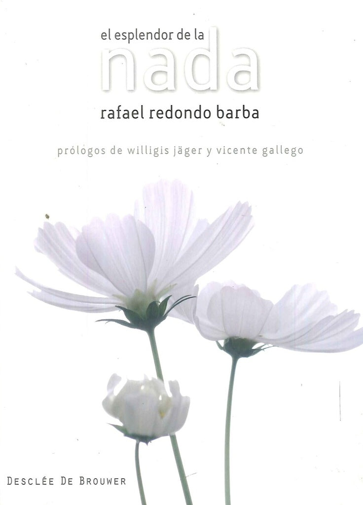 El esplendor de la nada | Rafael Redondo Barba
