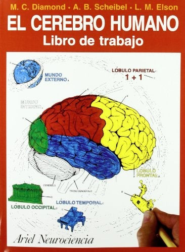 El cerebro humano | M.C. Diamond