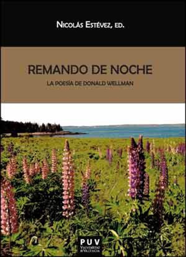 Remando de noche | González Arias, Wellman y otros