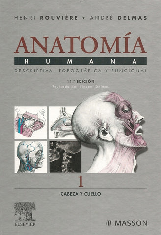 ANATOMIA HUMANA (4 TOMOS).. | Henri  Rouviére