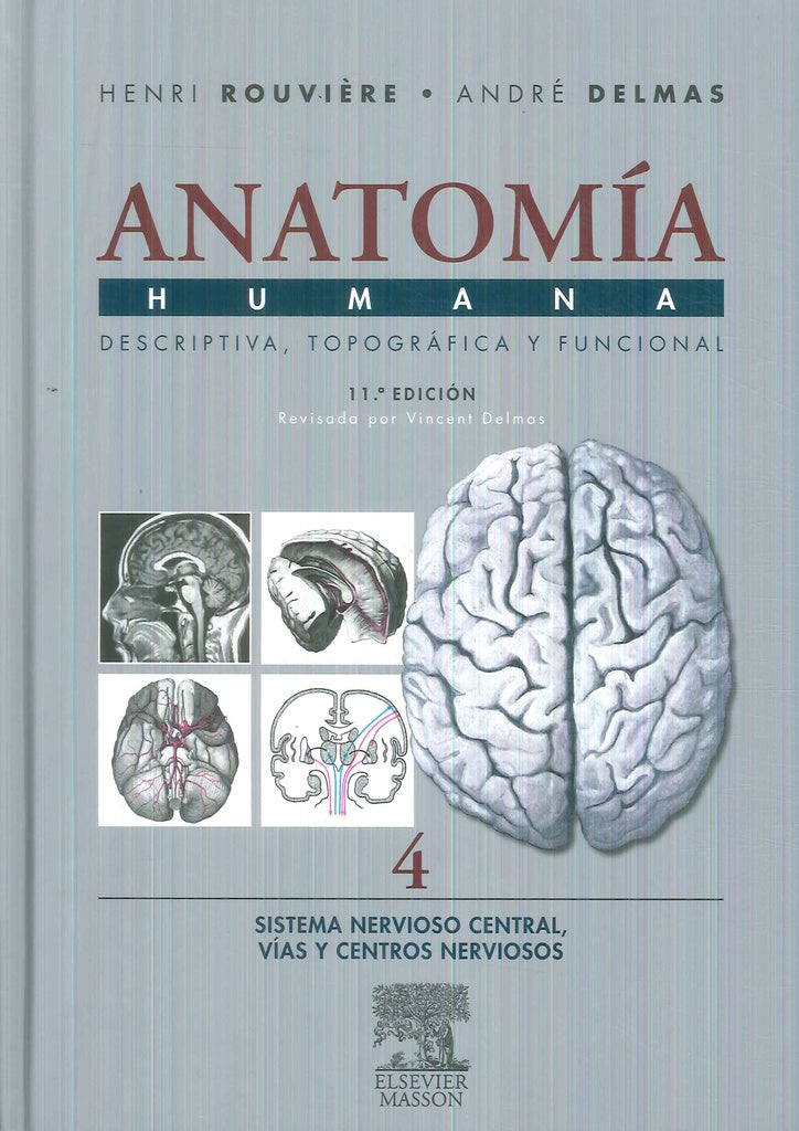 Anatomia Humana t4 | Henri  Rouviére