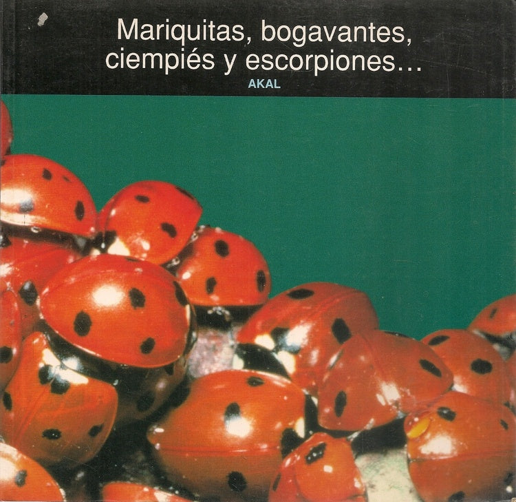 Mariquitas, bogavantes, ciempiés y escorpiones.... | Museum, Ortiz de Lanzagorta