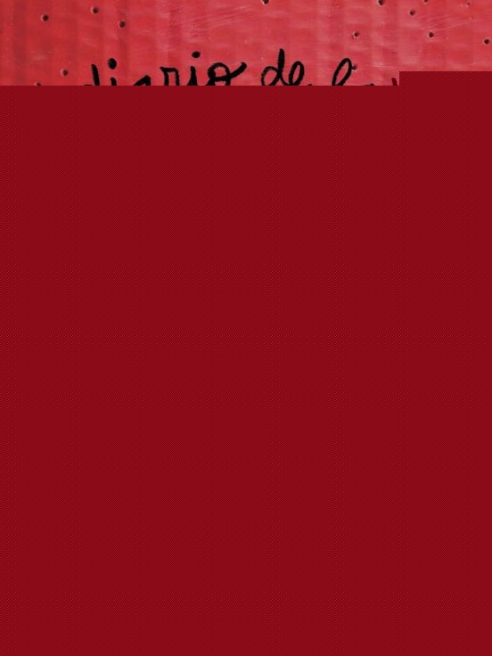 DIARIO DE LAS EMOCIONES* | Anna  Llenas