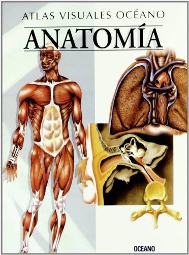 Anatomía