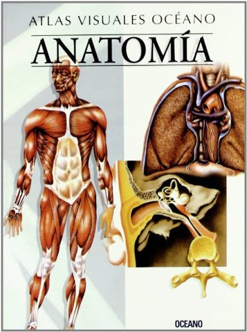 Anatomía