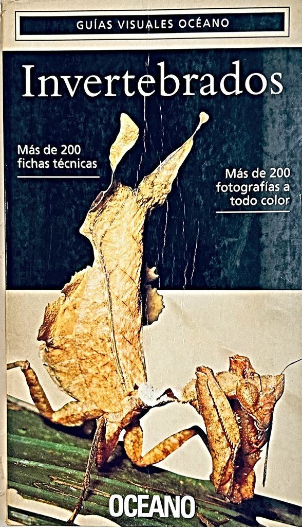 GUÍAS VISUALES OCÉANO INVERTEBRADOS..