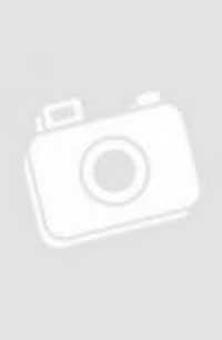 CAMALEON.. | WILLIAM X.  KIENZLE