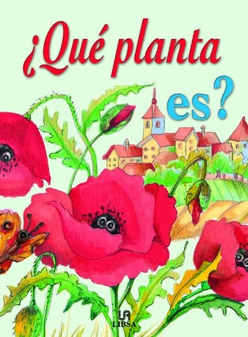 Que planta es??