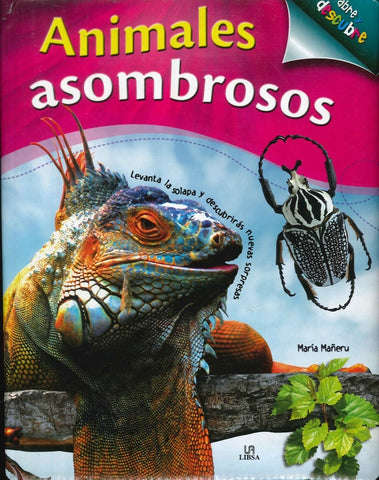 Animales asombrosos | Maria  Mañeru