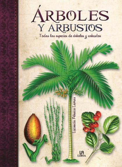 ARBOLES Y ARBUSTOS.. | Lucrecia Pérsico Lamas