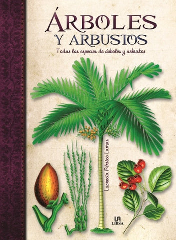 ARBOLES Y ARBUSTOS.. | Lucrecia Pérsico Lamas