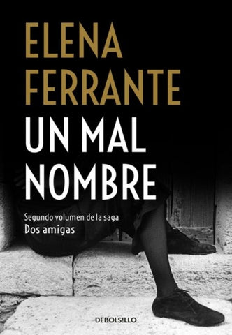 UN MAL NOMBRE.. | Elena Ferrante