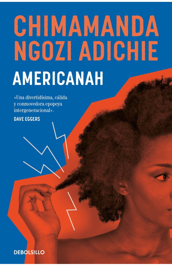 AMERICANAH.. | Chimamanda Ngozi Adichie