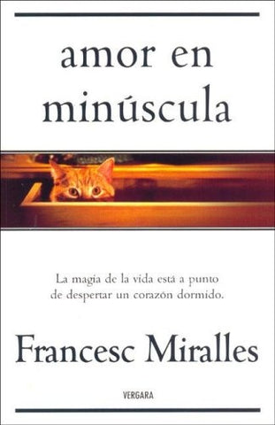 AMOR EN MINUSCULA | Mirai