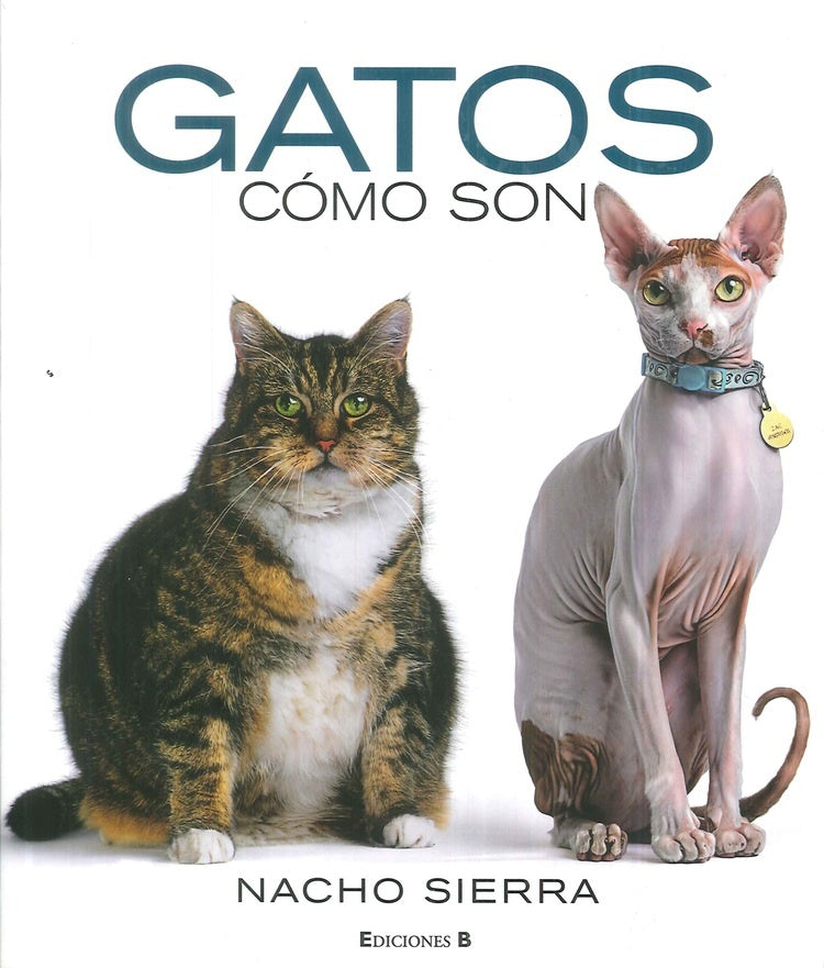 GATOS COMO SON.. | NACHO SIERRA