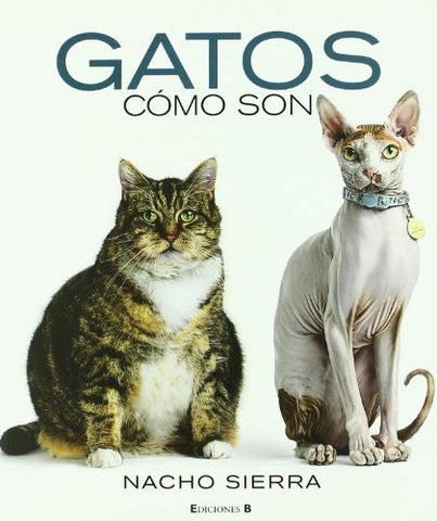GATOS COMO SON | NACHO SIERRA