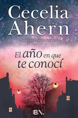 EL AÑO EN QUE TE CONOCI | Cecelia Ahern