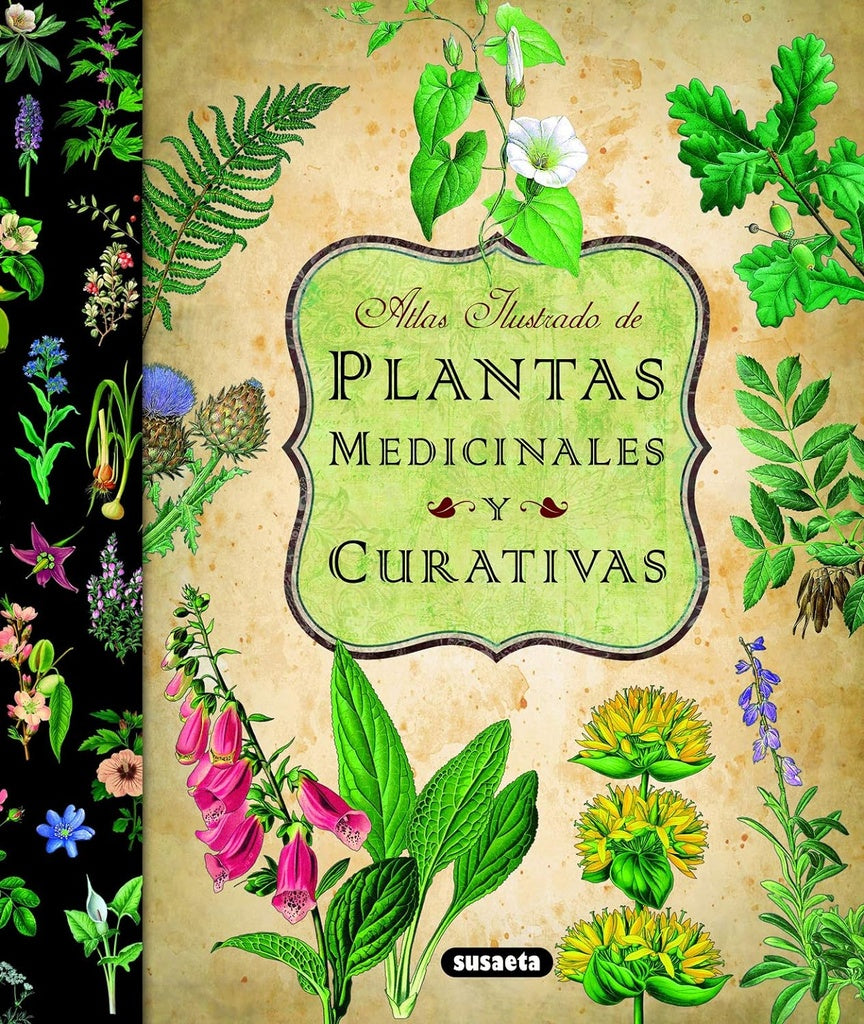 PLANTAS MEDICINALES Y CURATIVA: ATLAS ILUSTRADO