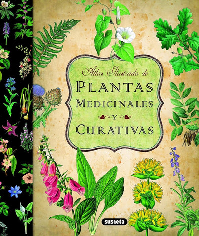 PLANTAS MEDICINALES Y CURATIVA: ATLAS ILUSTRADO
