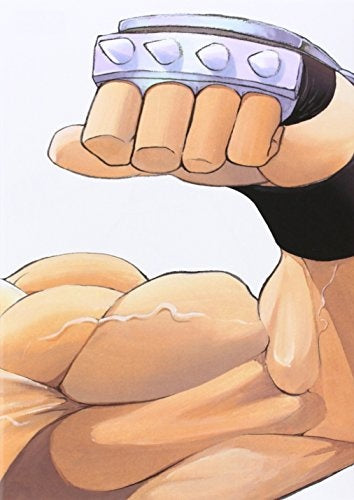 FULLMETAL ALCHEMIST KANZENBAN 10  |  HIROMU  HARAKAWA
