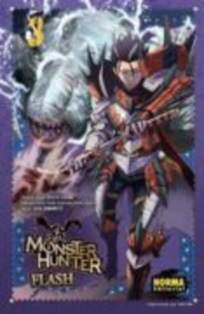 MONSTER HUNTER FLASH! 3 .. |  KEIICHI  HIKAMI