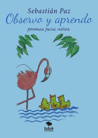 Observo y aprendo | Sebastián Paz
