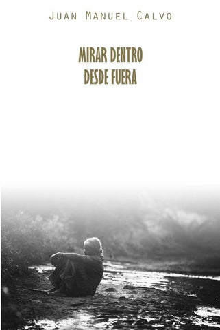 Mirar dentro desde fuera | Juan Manuel Calvo