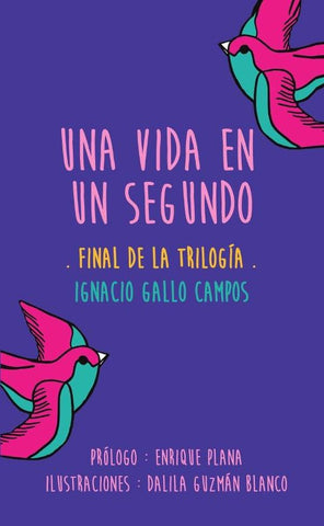 Una vida en un segundo | Ignacio Gallo Campos