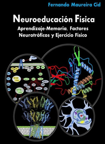 Neuroeducación Física. Aprendizaje-Memoria, Factores Neurotróficos y  Ejercicio Físico | Fernando Maureira Cid