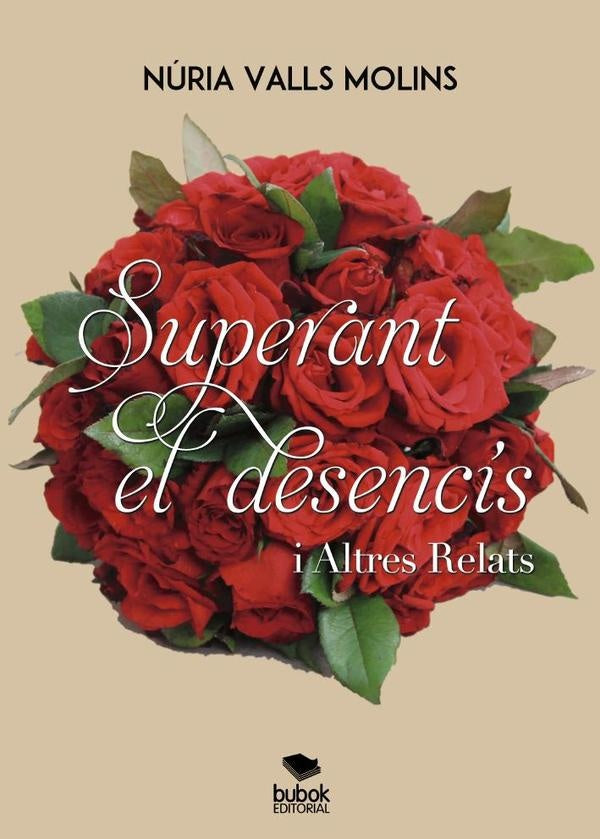 Superant el desencís i altres relats | Núria Valls Molins