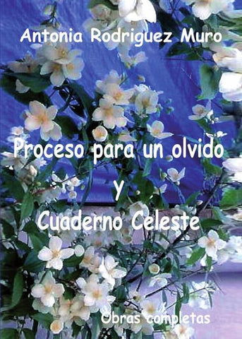Proceso para un olvido y cuaderno celeste.  | Antonia Rodriguez Muro
