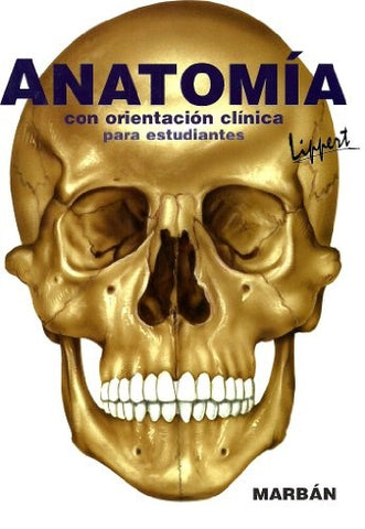 Anatomia