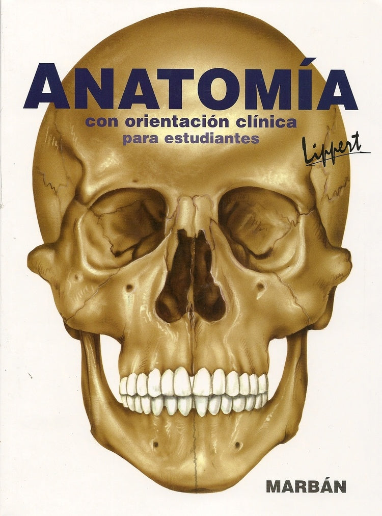 ANATOMIA HUMANA | Lippert