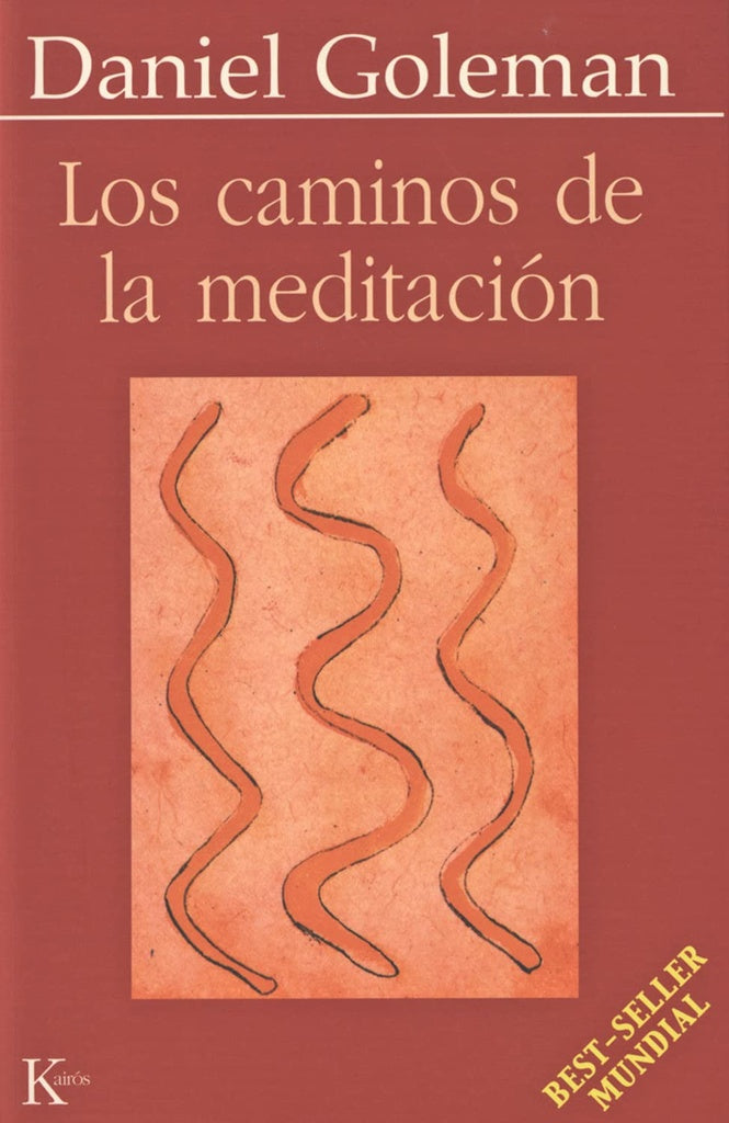 LOS CAMINOS DE LA MEDITACIÓN.. | Daniel Goleman