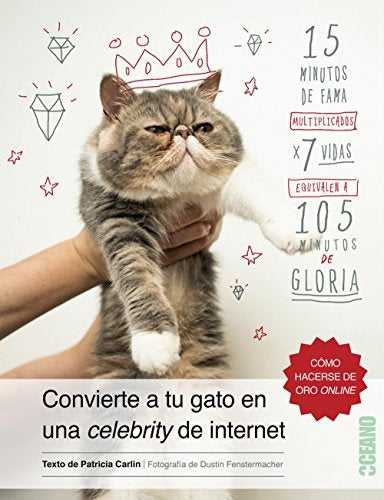 convierte a tu gato en una celebrity de internet | patricia  carlin