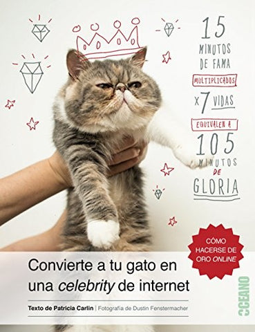convierte a tu gato en una celebrity de internet | patricia  carlin