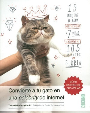 convierte a tu gato en una celebrity de internet | patricia  carlin
