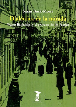 Dialectica de la mirada* | Susan Buck-Morss