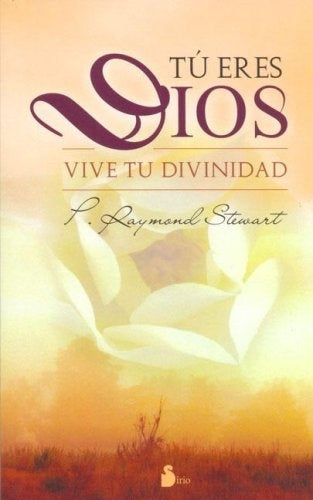 Tu Eres Dios (Spanish Edition) | Raymond Stewart