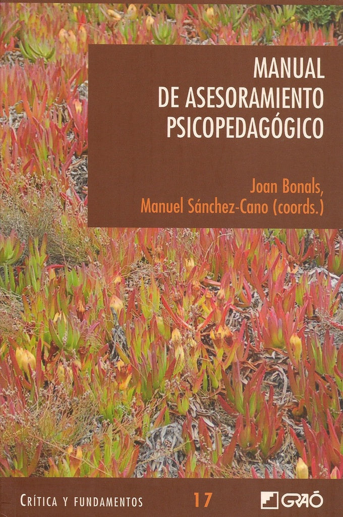 Manual de Asesoramiento Psicopedagógico | Augé Lidon, Sánchez-Cano y otros