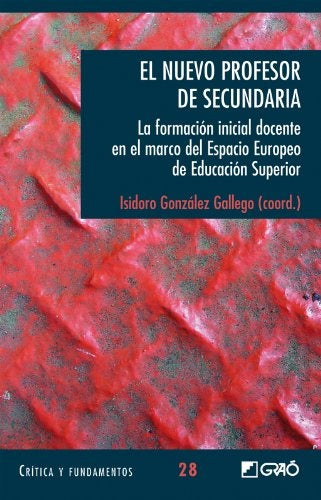 El nuevo profesor de secundaria. | Medina Rivilla, Maldonado Rico y otros