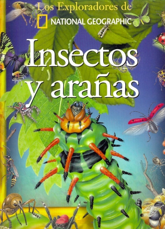 INSECTOS Y ARAÑAS (Spanish Edition) | ROBERTSON MATTHEW