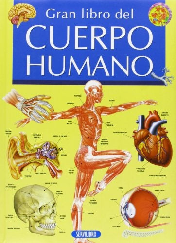 Gran libro del cuerpo humano | sin autor