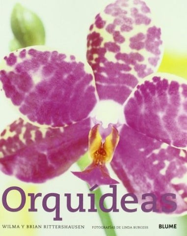 Orquideas (Spanish Edition) | Rittershausen, Rittershausen