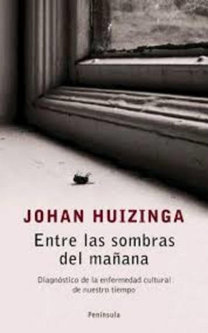 ENTRE LAS SOMBRAS DEL MAÃANA | HUIZINGA JOHAN