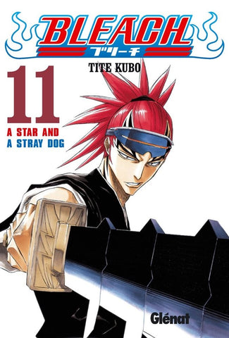 Bleach 11